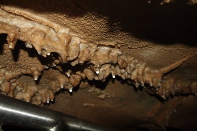 Cave formations inside Mammoth Cave - Blair's Blackberry
